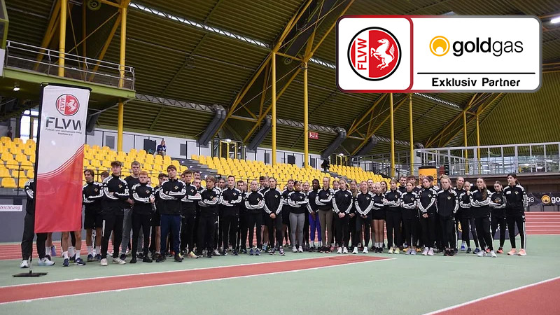 flvw und goldgas